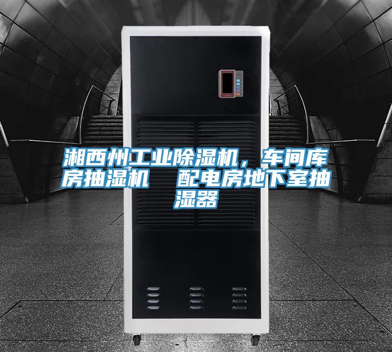 湘西州工業(yè)除濕機(jī),車間庫房抽濕機(jī) 配電房地下室抽濕器