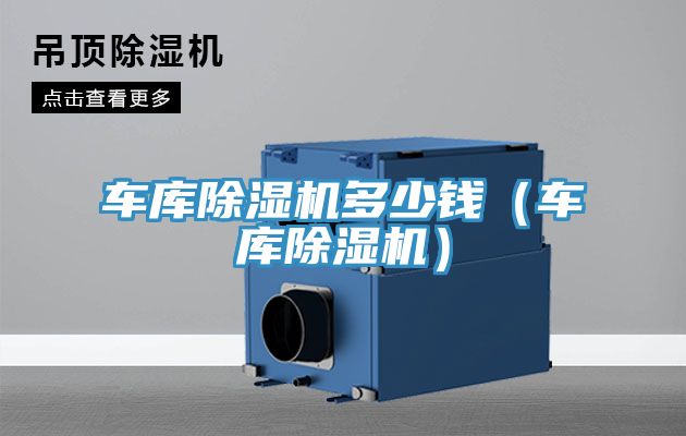 車庫除濕機(jī)多少錢(車庫除濕機(jī))
