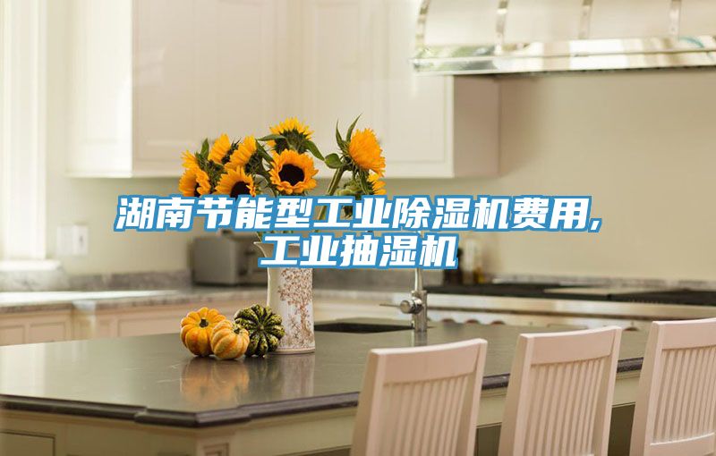 湖南節能型工業除濕機費用,工業抽濕機