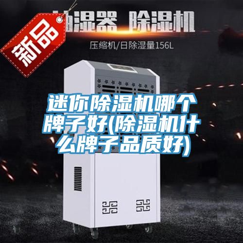 迷你除濕機哪個牌子好(除濕機什么牌子品質好)