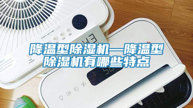 降溫型除濕機—降溫型除濕機有哪些特點