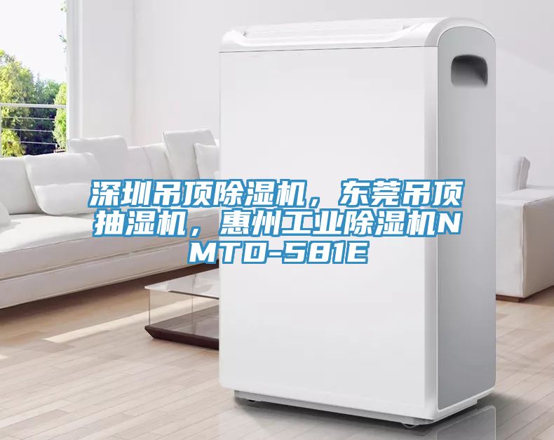 深圳吊頂除濕機,東莞吊頂抽濕機,惠州工業除濕機NMTD-581E