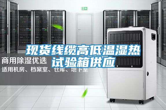 現(xiàn)貨線纜高低溫濕熱試驗(yàn)箱供應(yīng)