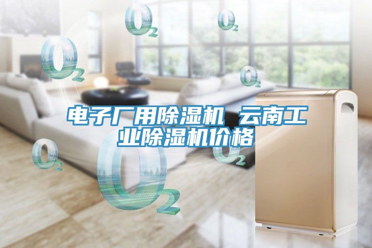 電子廠用除濕機 云南工業除濕機價格