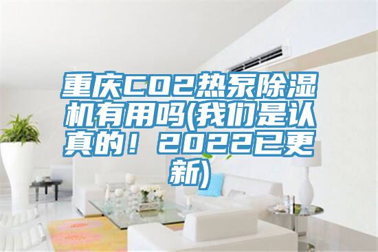 重慶CO2熱泵除濕機有用嗎(我們是認真的!2022已更新)