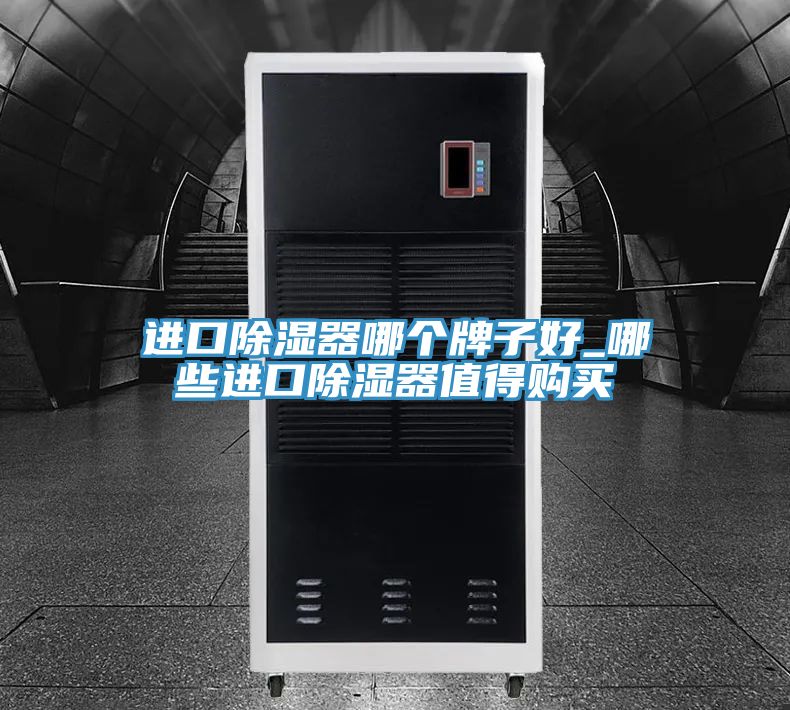 進(jìn)口除濕器哪個(gè)牌子好_哪些進(jìn)口除濕器值得購(gòu)買