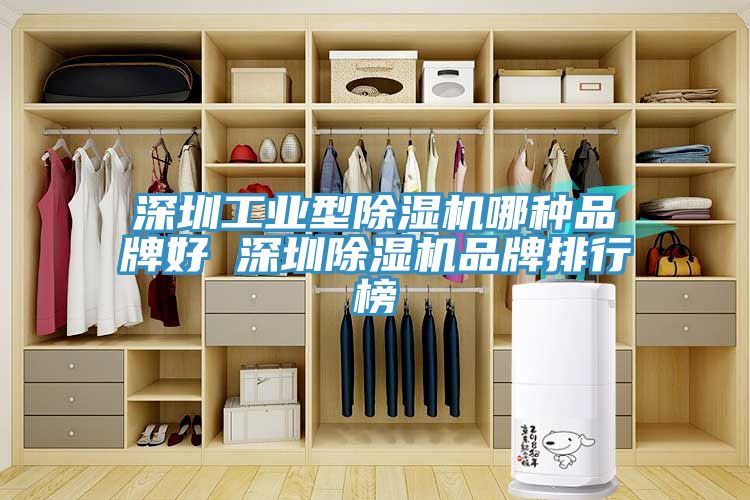 深圳工業型除濕機哪種品牌好 深圳除濕機品牌排行榜