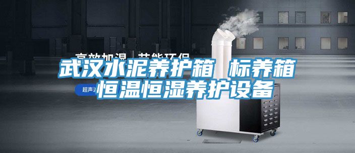 武漢水泥養護箱 標養箱 恒溫恒濕養護設備