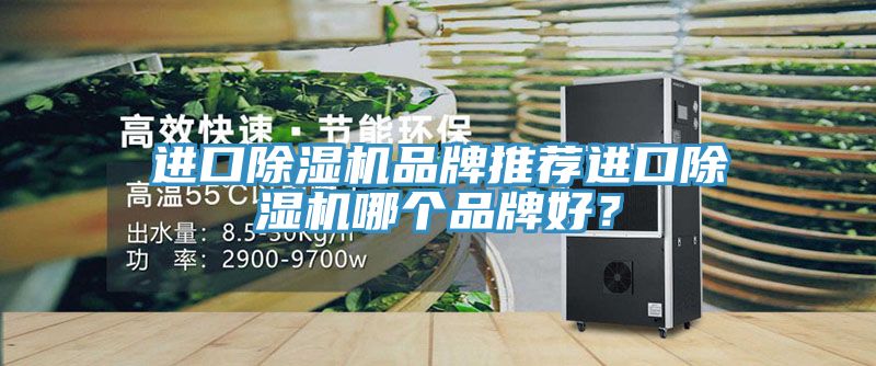 進口除濕機品牌推薦進口除濕機哪個品牌好?