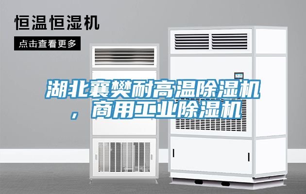 湖北襄樊耐高溫除濕機(jī)，商用工業(yè)除濕機(jī)