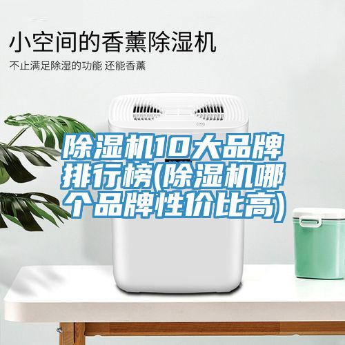 除濕機10大品牌排行榜(除濕機哪個品牌性價比高)