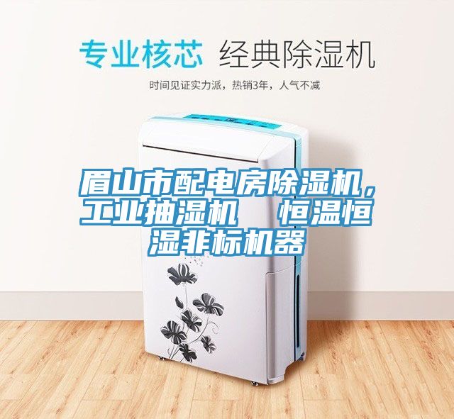 眉山市配電房除濕機,工業抽濕機 恒溫恒濕非標機器