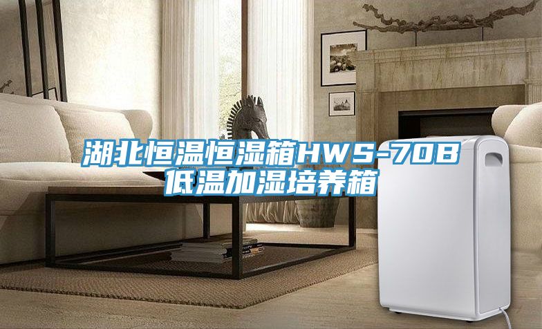湖北恒溫恒濕箱HWS-70B低溫加濕培養箱