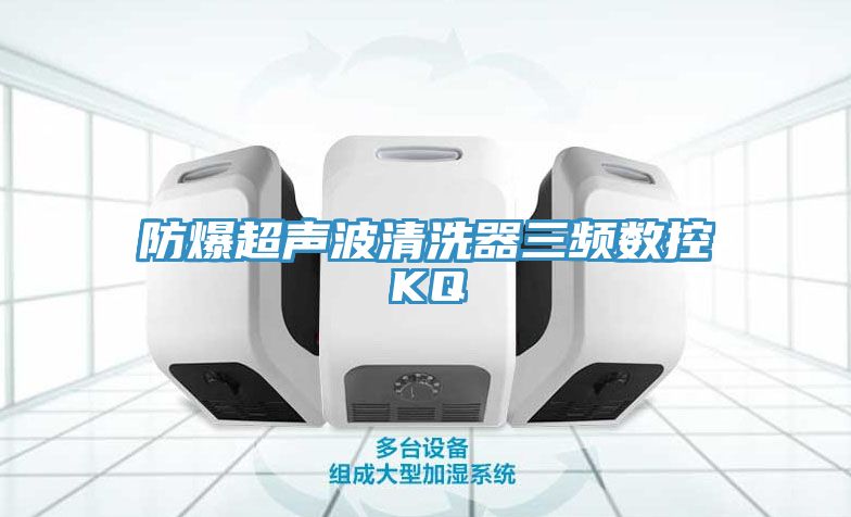防爆超聲波清洗器三頻數控KQ