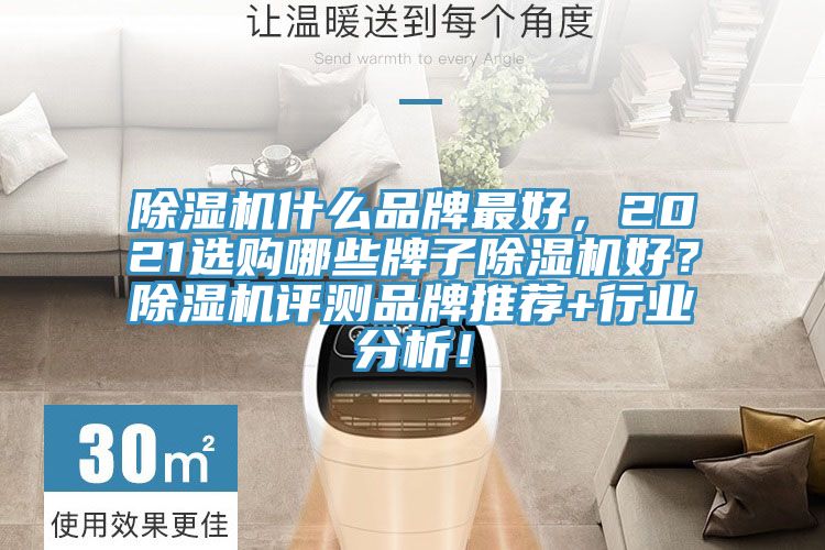 除濕機什么品牌最好，2021選購哪些牌子除濕機好？除濕機評測品牌推薦+行業分析！