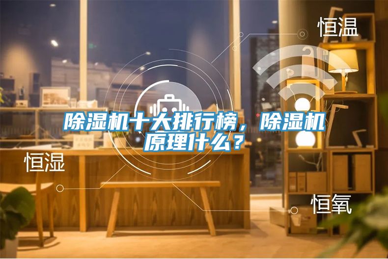 除濕機十大排行榜，除濕機原理什么？