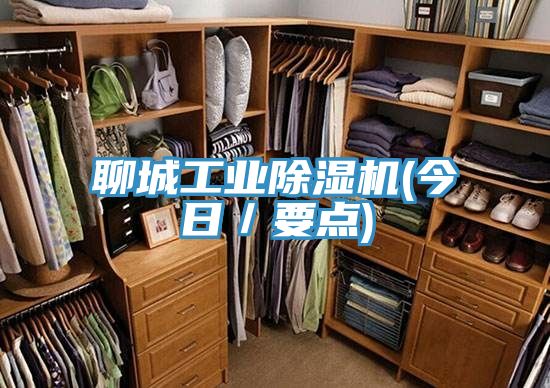聊城工業除濕機(今日／要點)