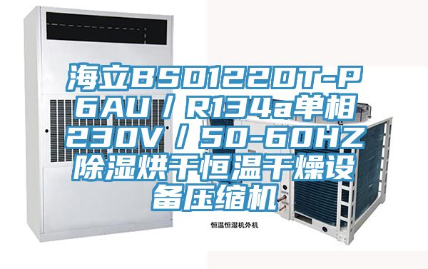 海立BSD122DT-P6AU／R134a單相230V／50-60HZ除濕烘干恒溫干燥設(shè)備壓縮機