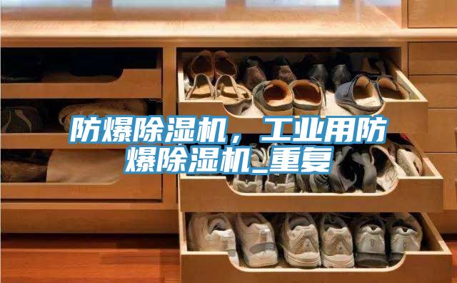 防爆除濕機，工業用防爆除濕機_重復