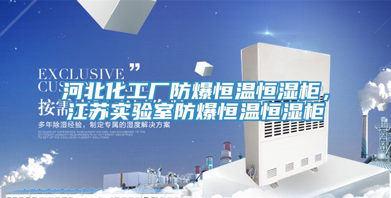 河北化工廠防爆恒溫恒濕柜，江蘇實驗室防爆恒溫恒濕柜
