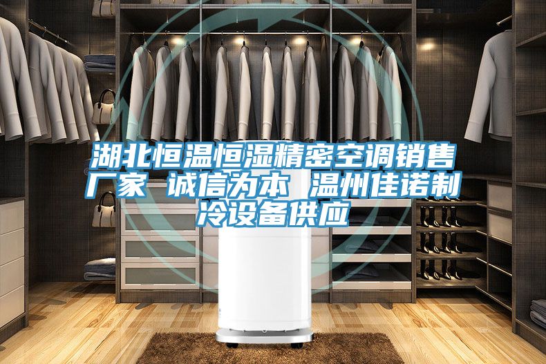 湖北恒溫恒濕精密空調銷售廠家 誠信為本 溫州佳諾制冷設備供應