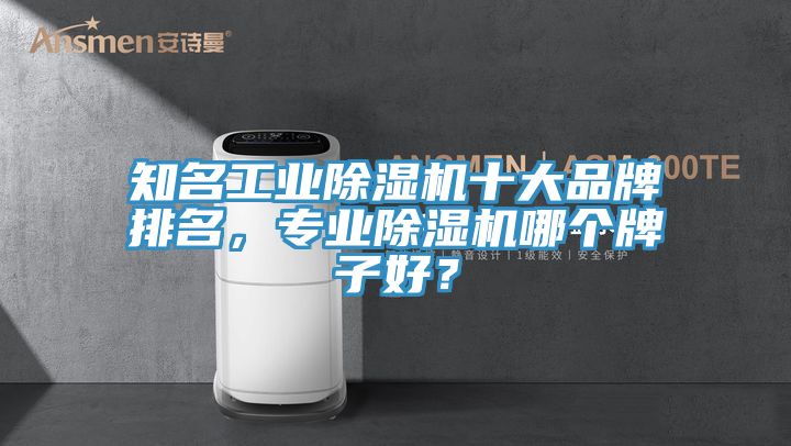 知名工業除濕機十大品牌排名,專業除濕機哪個牌子好?