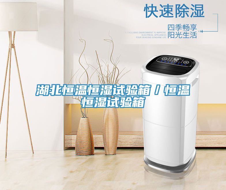 湖北恒溫恒濕試驗箱/恒溫恒濕試驗箱