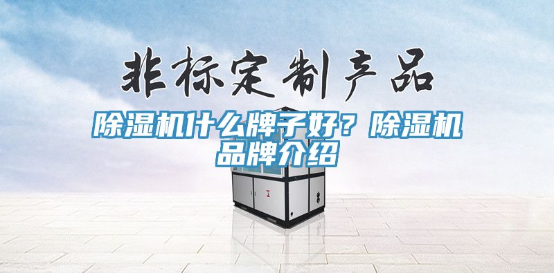 除濕機什么牌子好？除濕機品牌介紹