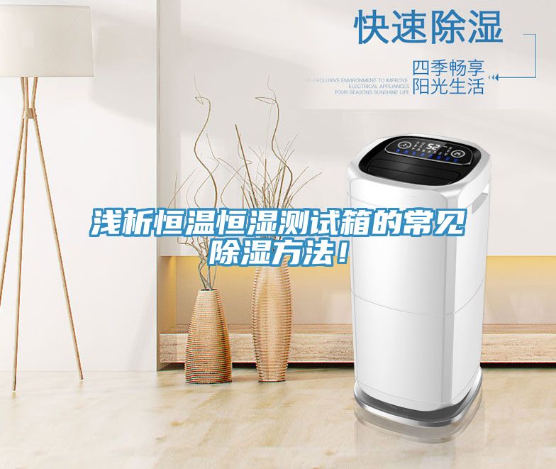 淺析恒溫恒濕測試箱的常見除濕方法！