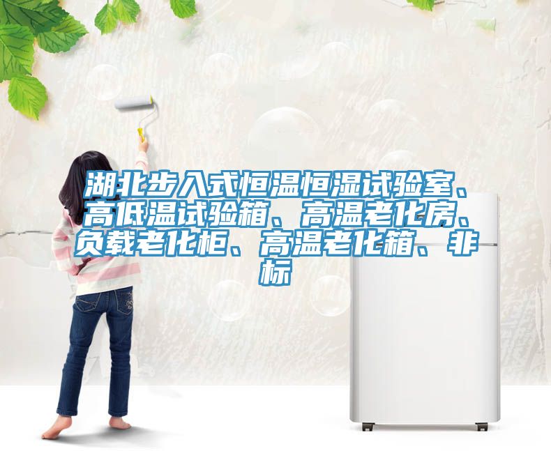 湖北步入式恒溫恒濕試驗室、高低溫試驗箱、高溫老化房、負載老化柜、高溫老化箱、非標