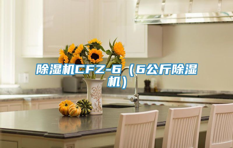 除濕機CFZ-6(6公斤除濕機)
