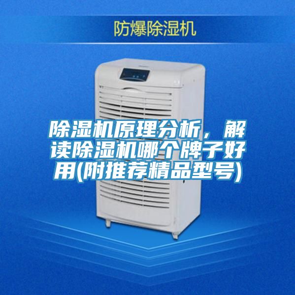 除濕機原理分析,解讀除濕機哪個牌子好用(附推薦精品型號)