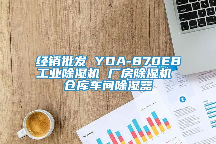 經(jīng)銷批發(fā) YDA-870EB工業(yè)除濕機(jī) 廠房除濕機(jī) 倉(cāng)庫(kù)車間除濕器