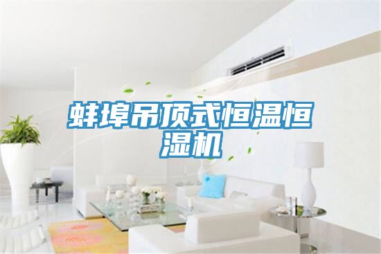 蚌埠吊頂式恒溫恒濕機