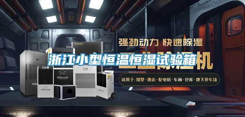 浙江小型恒溫恒濕試驗箱