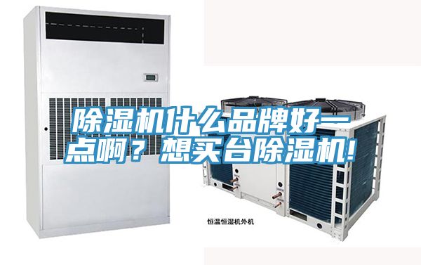 除濕機什么品牌好一點啊？想買臺除濕機!