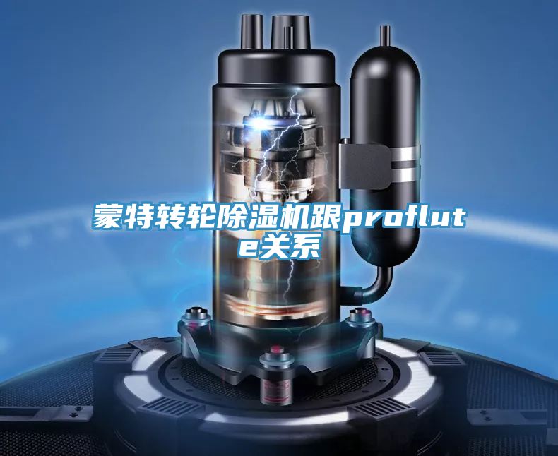 蒙特轉輪除濕機跟proflute關系