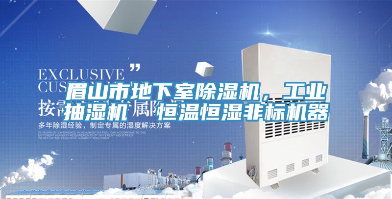 眉山市地下室除濕機,工業抽濕機 恒溫恒濕非標機器
