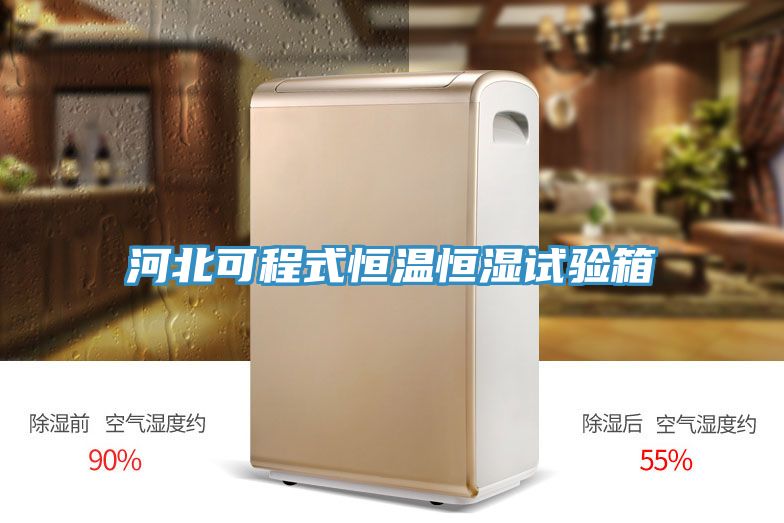 河北可程式恒溫恒濕試驗箱
