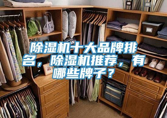 除濕機(jī)十大品牌排名，除濕機(jī)推薦，有哪些牌子？