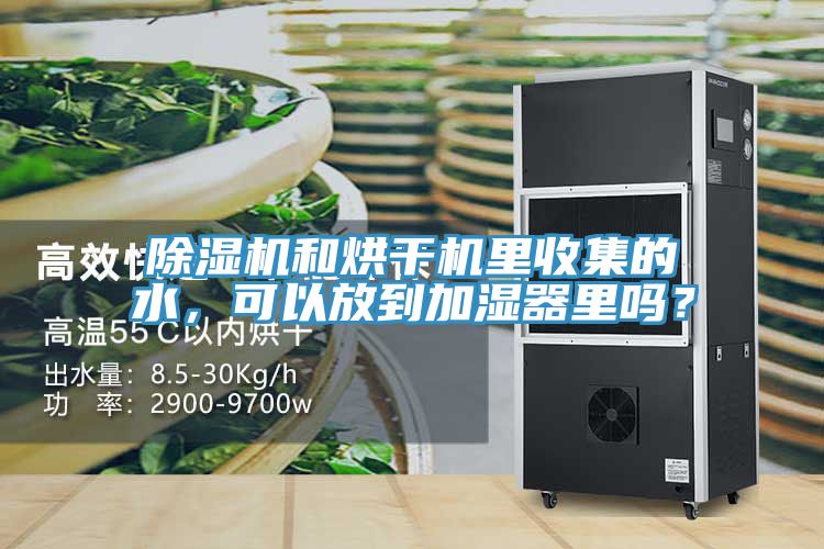 除濕機和烘干機里收集的水,可以放到加濕器里嗎?