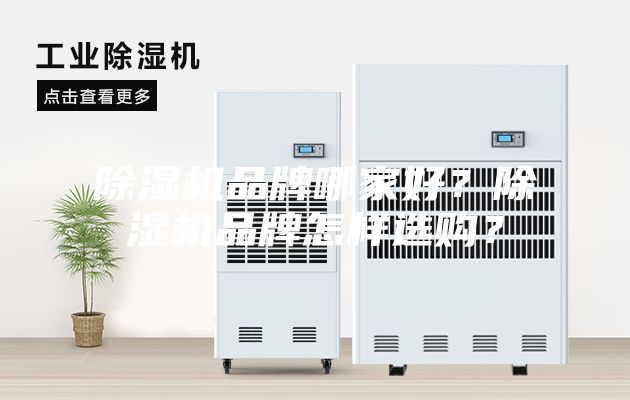 除濕機品牌哪家好？除濕機品牌怎樣選購？