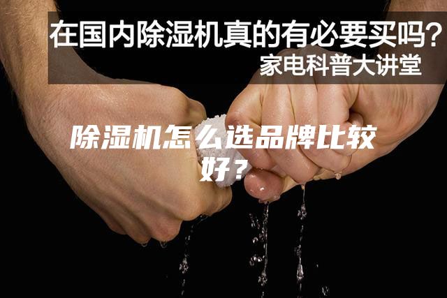除濕機(jī)怎么選品牌比較好?