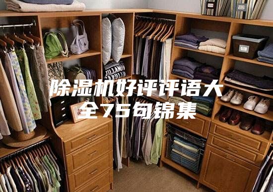 除濕機好評評語大全75句錦集