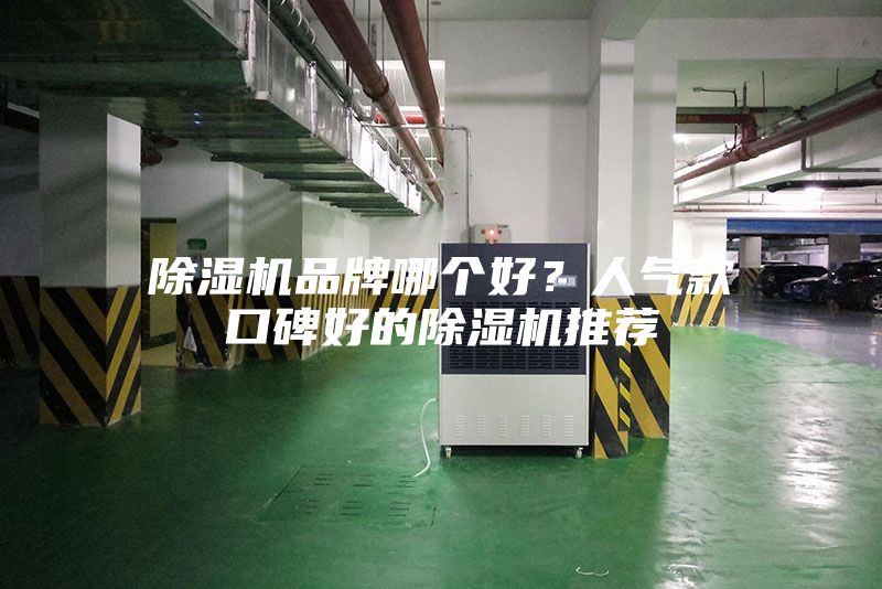 除濕機品牌哪個好？人氣款口碑好的除濕機推薦