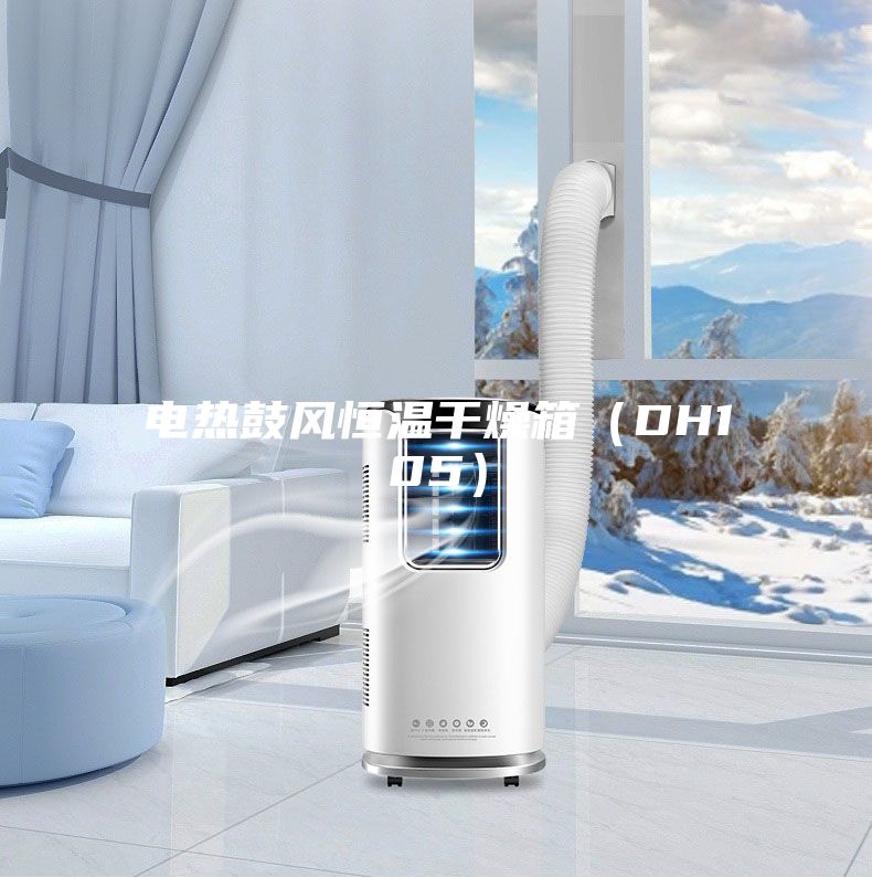 電熱鼓風恒溫干燥箱(DH105)