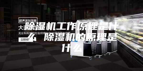 除濕機工作原理是什么 除濕機的原理是什么