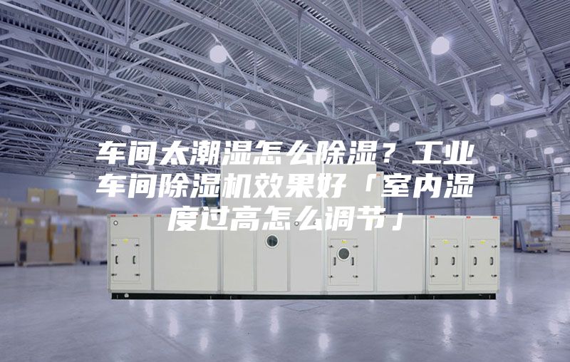 車間太潮濕怎么除濕？工業車間除濕機效果好「室內濕度過高怎么調節」