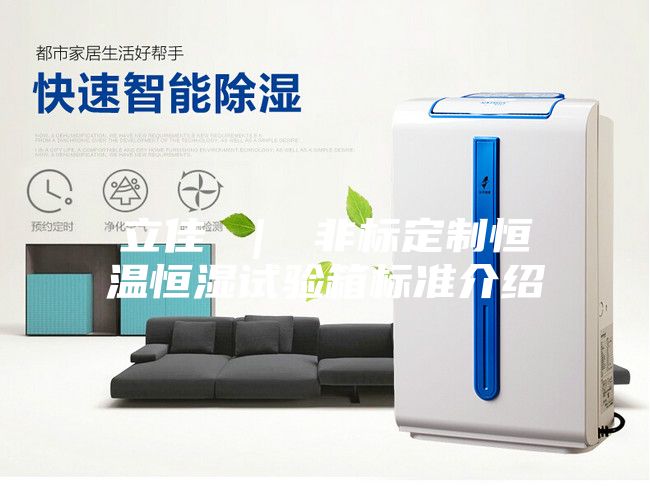 立佳 | 非標(biāo)定制恒溫恒濕試驗(yàn)箱標(biāo)準(zhǔn)介紹
