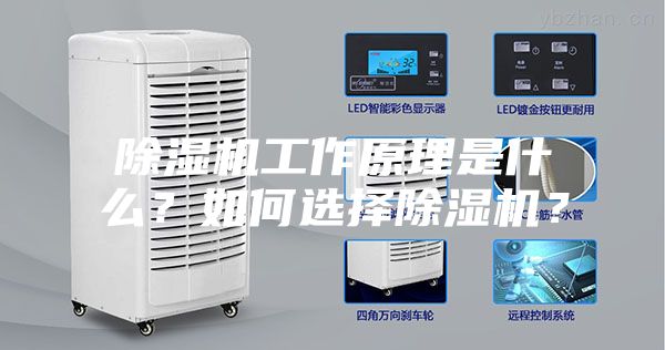 除濕機工作原理是什么？如何選擇除濕機？